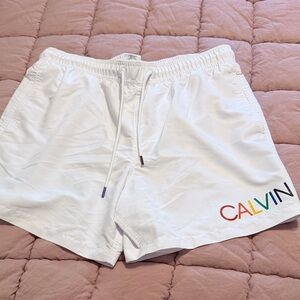 Mens Calvin Klein Swimwear
